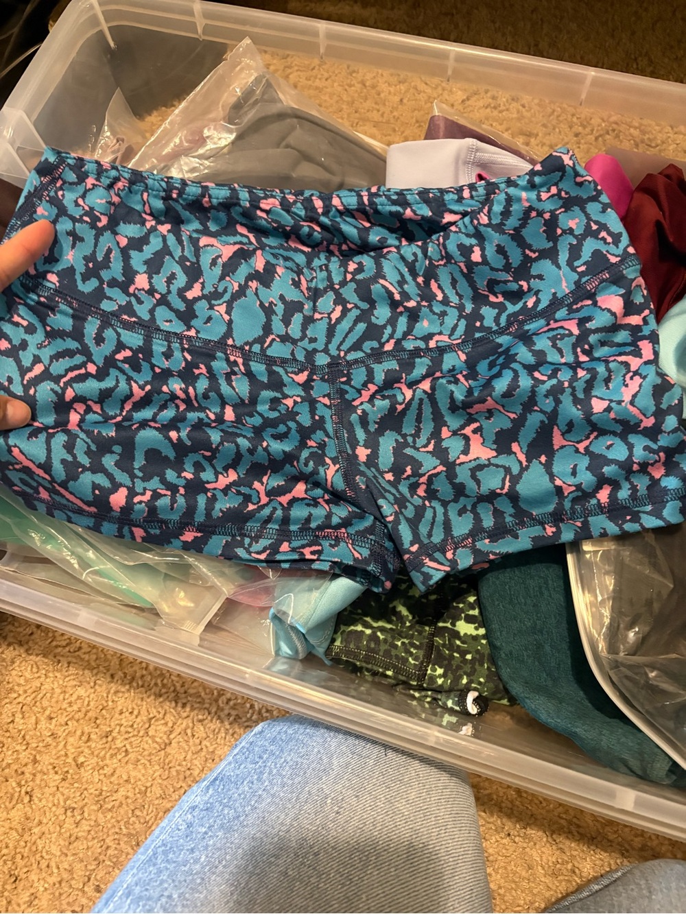 Fleo Blue and Pink Leopard-Print Athletic Shorts
